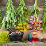 bunches of healing herbs on wooden wall mortar with dried plants and bottles herbal medicine