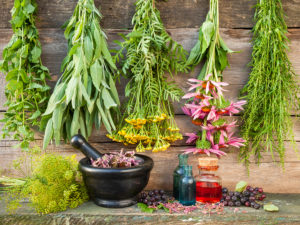 bunches of healing herbs on wooden wall mortar with dried plants and bottles herbal medicine